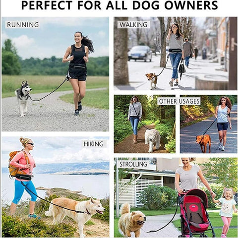 Hands Free Dog Leash Pet Walking And Training Belt With Shock Absorbing