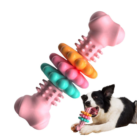 Dog Chew Toy Bone & Teeth Cleaning