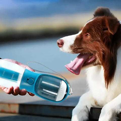 Pet Water Drinking Cup & Food Garbage Bag 3-in-1