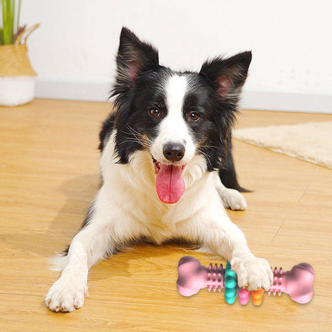 Dog Chew Toy Bone & Teeth Cleaning