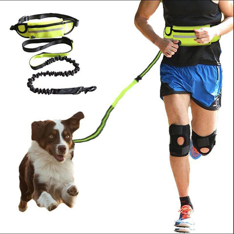 Hands Free Dog Leash Pet Walking And Training Belt With Shock Absorbing