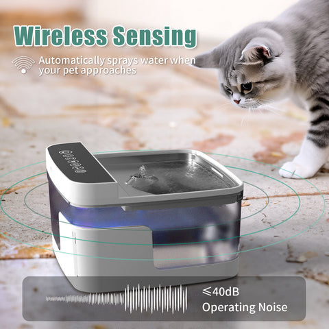 Pet Water Dispenser best product