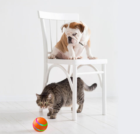 Pet New Cat Wicked Ball Toy Ball