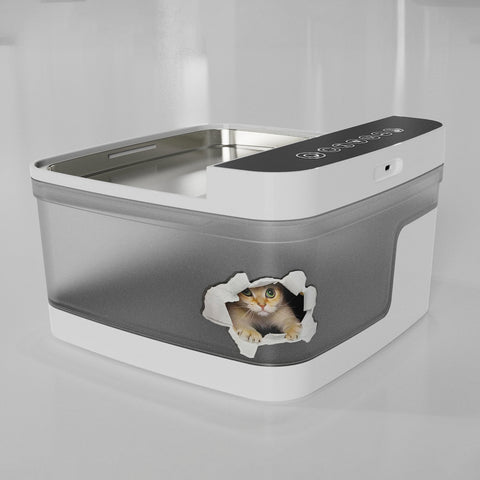 Pet Water Dispenser best product