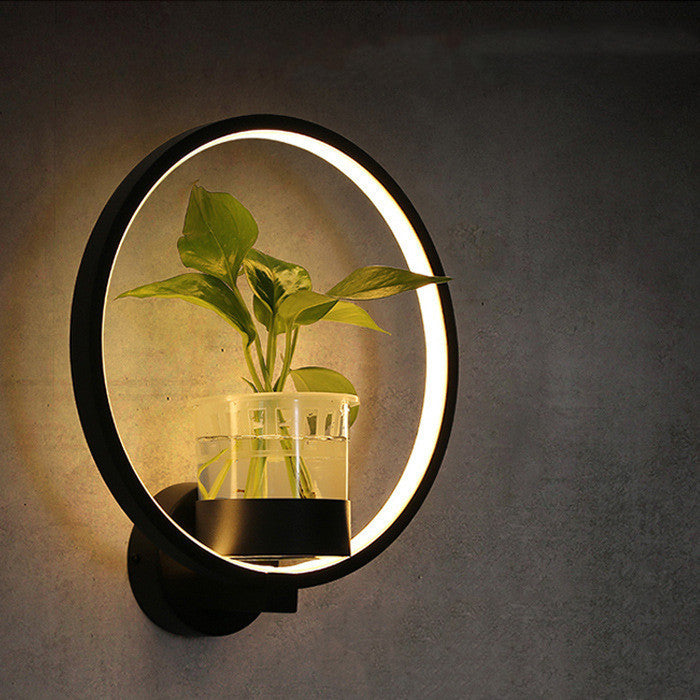 Wall-mounted light fixture with a circular design and plant inside, on a dark background.