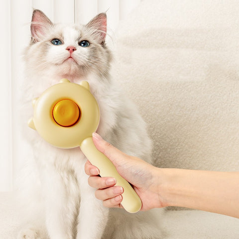 Cat Comb Massage Pet Magic Combs Hair Removal for Pets