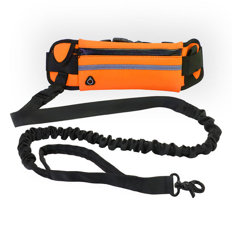 Hands Free Dog Leash Pet Walking And Training Belt With Shock Absorbing