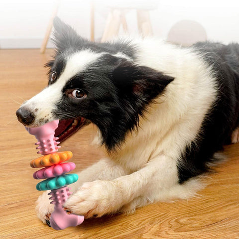 Dog Chew Toy Bone & Teeth Cleaning